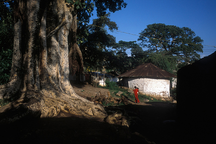 Ethiopia. Harar. Old town. Outside the walls