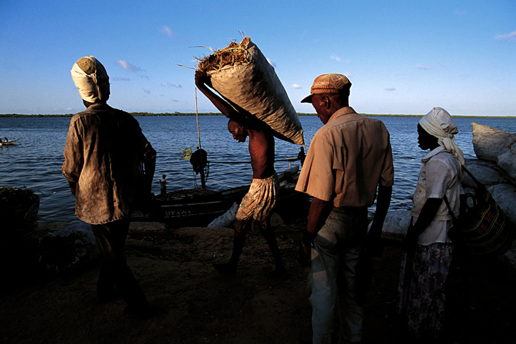 Kenya. Lamu. Dhow